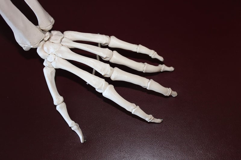 Tai Chi for Arthritis